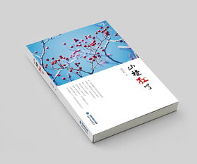 書籍設(shè)計(jì) 藝術(shù)與功能的交匯點(diǎn)